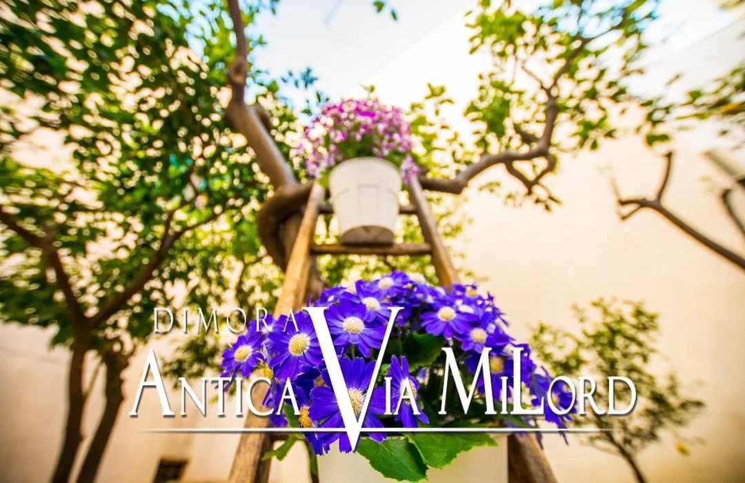 Dimora Antica Via MiLord-1