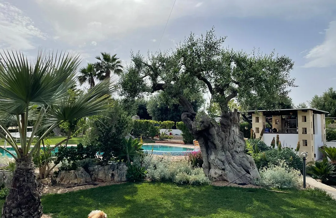 Alla villa di Angelo-1