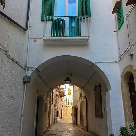 La Maison dello zio-3