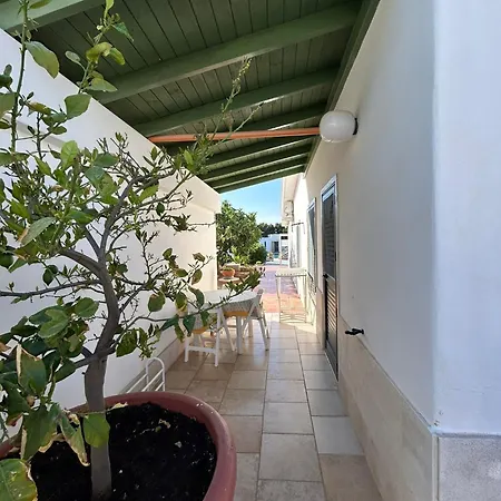 Villa Lamandia-2